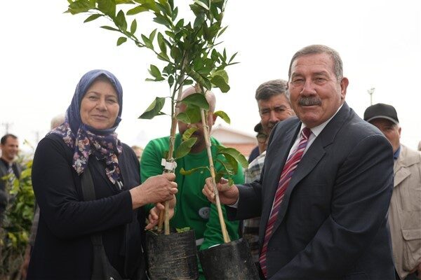 Gerçekleştirilen törenle 45 farklı mahalleden 84 üreticiye zeytin (gemlik ve