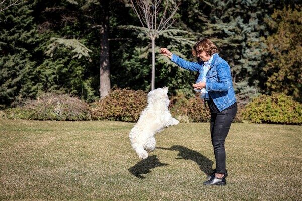 Sahiplendiği köpeğe “Pamuk” ismini veren Başkan Ünlüce vatandaşlara da çağrıda