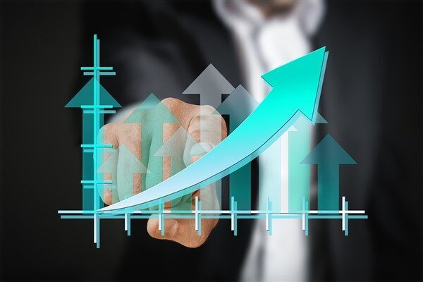 BMD Araştırma’nın raporuna göre, 2024 yılı kârından temettü dağıtımına dair