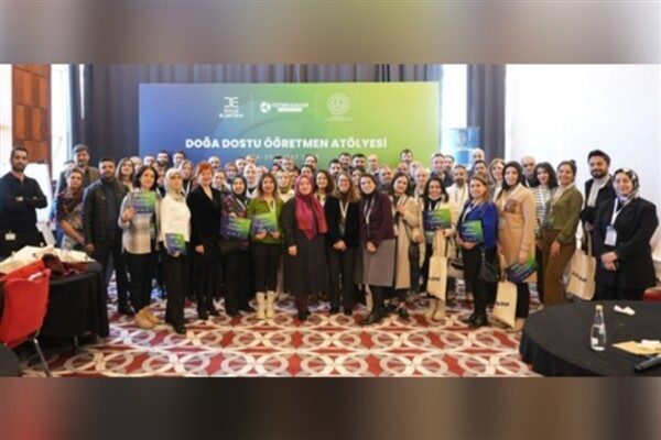 Güneydoğu Anadolu Bölgesi’nde yer alan 6 ilde elektrik dağıtım hizmeti
