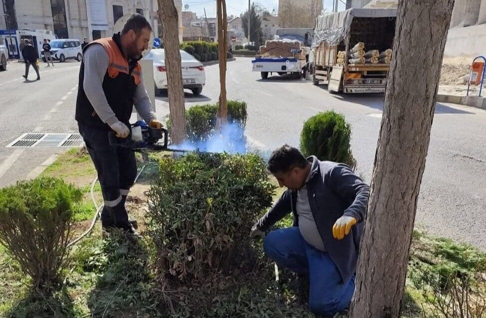 Belediye ekipleri, parkların daha estetik ve sağlıklı bir görünüme kavuşması