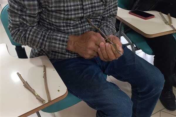 Ordu Büyükşehir Belediyesi Tarım ve Hayvancılık Hizmetleri Dairesi ile Meslek
