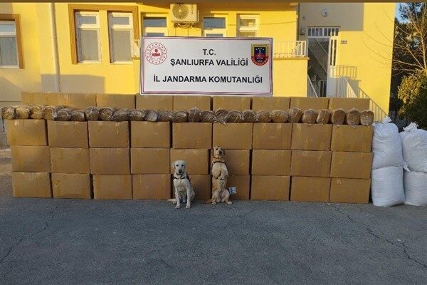 Şanlıurfa İl Jandarma Komutanlığı, KOM Şube Müdürlüğü ekipleri ve hassas burunlu