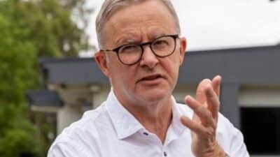 Albanese, İşçi Partisi'nin her bir vergi mükellefi için ek bir