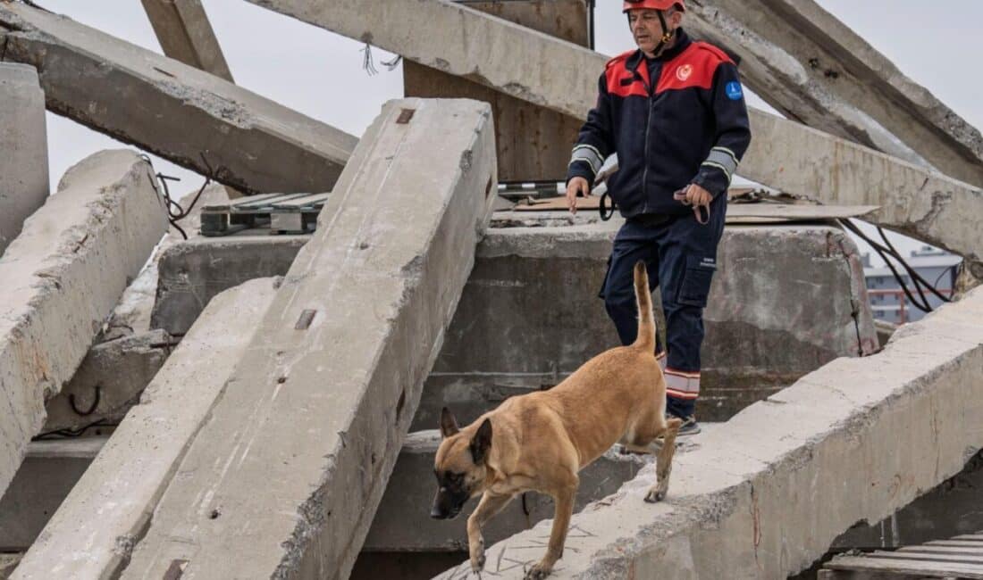 İzmir Büyükşehir Belediyesi İtfaiye Dairesi Başkanlığı Arama Kurtarma Şube Müdürlüğü’ne