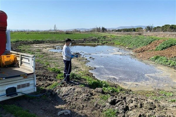 Balıkesir Büyükşehir Belediyesi Çevre Koruma ve Kontrol Dairesi Başkanlığının önderliğinde