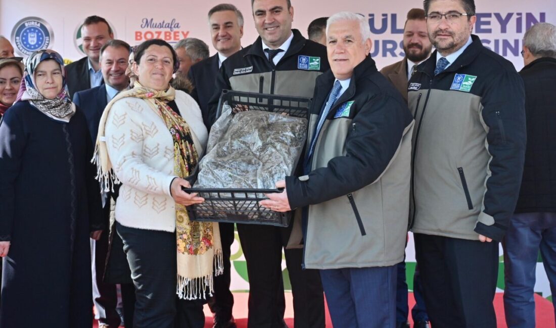 Bursa Büyükşehir Belediyesi iştiraklerinden Tarım Peyzaj AŞ ve Bursa İli