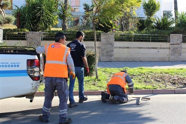 Antalya Büyükşehir Belediyesi Park ve Bahçeler Dairesi Başkanlığı ekipleri, Kemer’in
