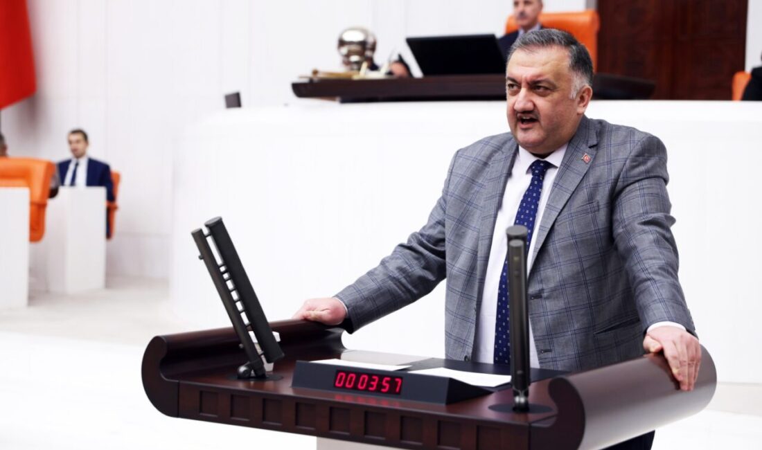 DEVA Partisi Genel Başkan Yardımcısı ve İstanbul Milletvekili Hasan Karal,