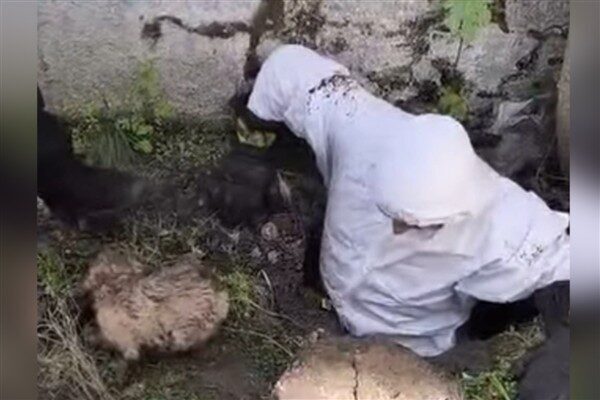 Olay, Diyarbakır Çocuk Hastalıkları Hastanesi yakınlarında meydana geldi. Kanal içine