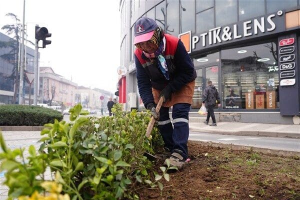 Düzce Belediyesi Park ve Bahçeler Müdürlüğü tarafından ağaç dikimi, bakım