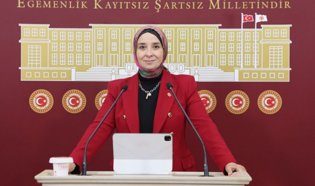 DEVA Partisi Genel Başkan Yardımcısı ve İstanbul Milletvekili Elif Esen,
