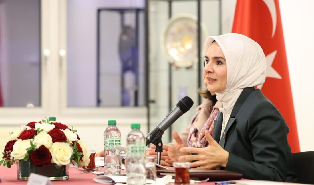 Aile ve Sosyal Hizmetler Bakanı Mahinur Özdemir Göktaş, Tekerlekli Sandalye