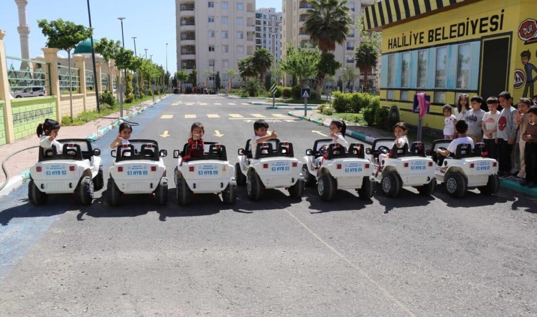 Şanlıurfa Valiliği koordinesinde, Haliliye Belediyesi, İl Emniyet Müdürlüğü ve İl