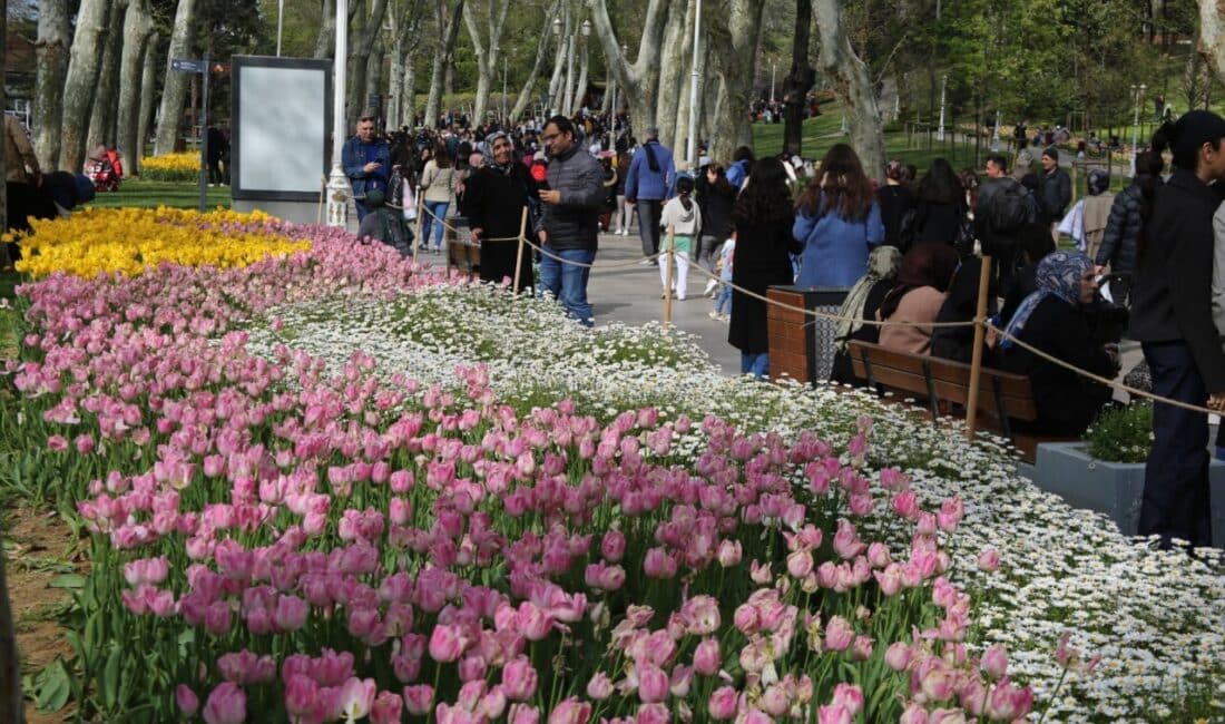 İstanbul Büyükşehir Belediyesi (İBB) Park ve Bahçeler Dairesi Başkanlığı ile