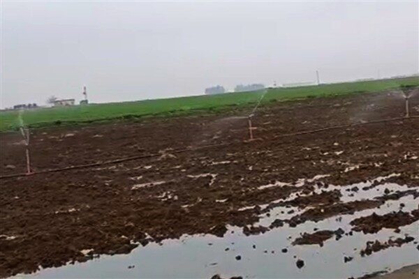 Dicle Elektrik tarafından dağıtım hizmeti verilen Şanlıurfa ve Mardin’de elektrik