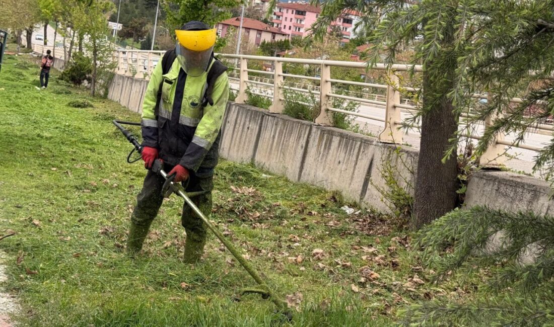 Çim biçme, budama, toprak yenileme, bitki bakımı ve temizlik gibi