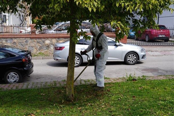 İlçe genelinde kaldırım ve duvar kenarlarında görüntü kirliliği oluşturan yabani