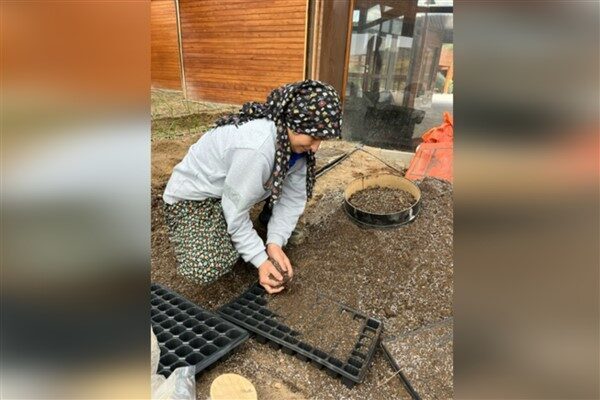 Gökçeyurt Mahallesi’nde bulunan Ekolojik Köy seralarında, ilkbahar sezonuyla birlikte domates,