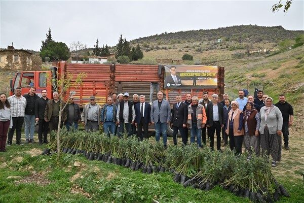 Gördes’te Boyalı, Karayakup, Merkeztepe ve Yeniköy mahallelerinde 77 üreticiye 29