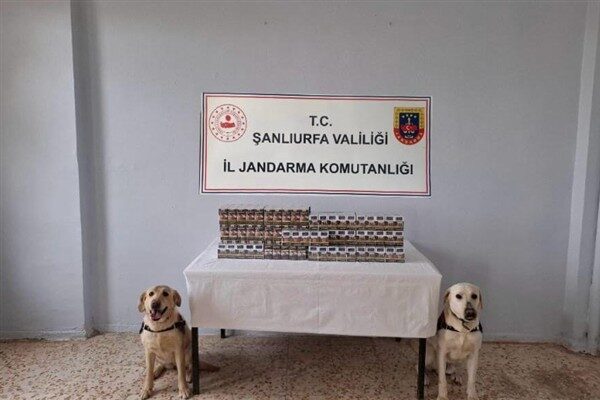 Şanlıurfa İl Jandarma Komutanlığı tarafından “tütün ve alkol kaçakçılarına yönelik”,