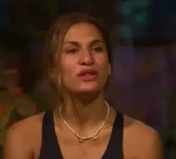 Survivor 2025
