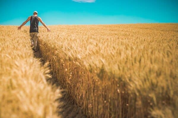 Tarım sektöründe dijitalleşmeyi hızlandırmak ve verimliliği artırmak amacıyla geliştirilen AgroTech