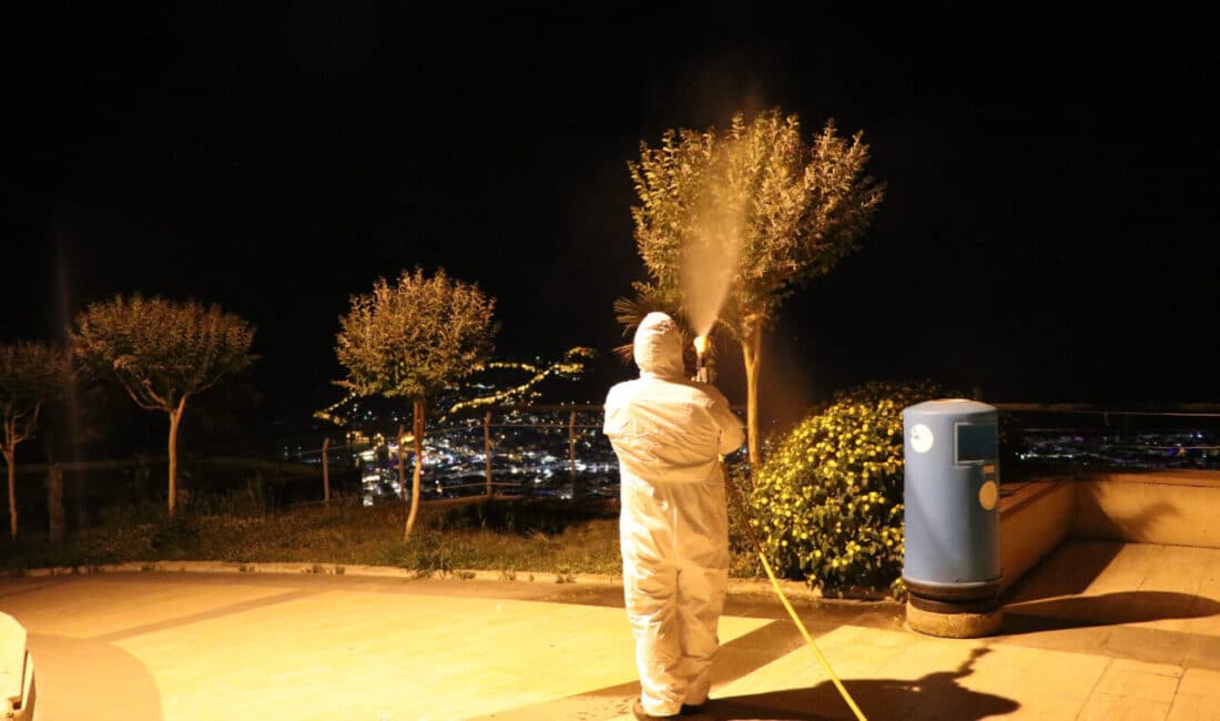 Alanya Belediyesi Park ve Bahçeler Müdürlüğü ekipleri tarafından, bitkilerin büyüme
