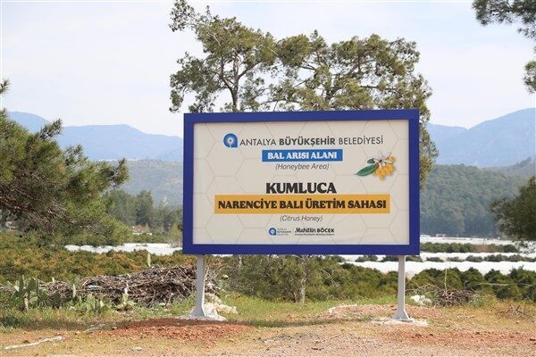 Antalya Büyükşehir Belediyesi Tarımsal Hizmetler Dairesi Başkanlığı ekipleri, narenciye balı