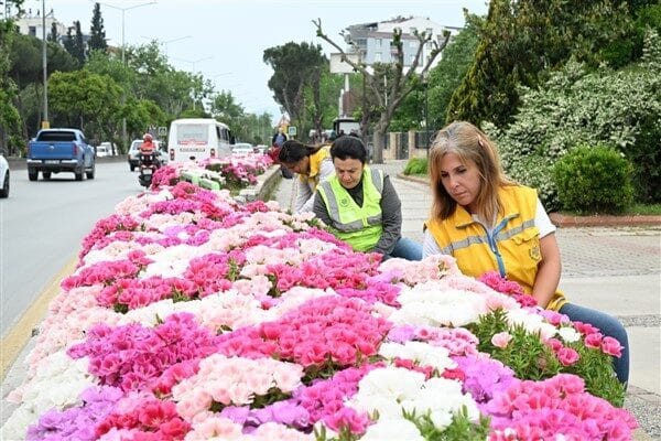 Aydın'da Büyükşehir Belediyesi Park ve Bahçeler Dairesi ekipleri, mevsimlik çiçek