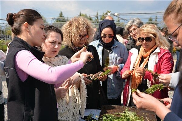Tıbbi ve Aromatik Bitkiler Yetiştiriciliği alanında düzenlenen 10 günlük eğitimde