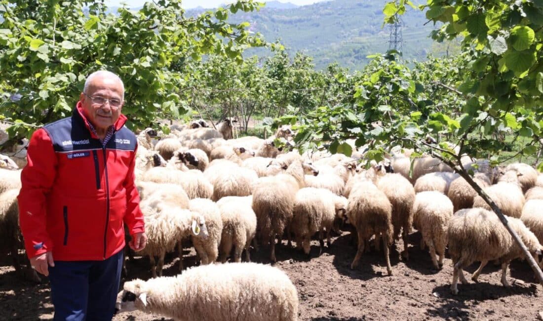 Ordu Büyükşehir Belediye Başkanı Dr. Mehmet Hilmi Güler’in 2019 yılında