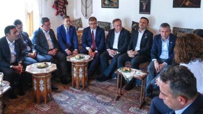 TBMM Grup Başkanvekili Demokratik Bölgeler Partisi milletvekili Sırrı Süreyya Önder'e