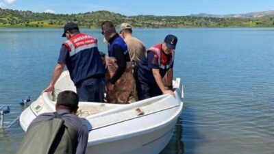 Batman İl Tarım ve Orman Müdürlüğü ve Jandarma ekipleri, Batman