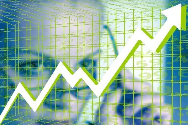 2024 yılı temettü dağıtımı hakkında detaylar ve veriler açıklandı. BİST