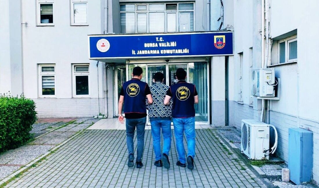 Yapılan çalışmalar ve koordineli operasyonlarla, dolandırıcılık olayını gerçekleştirdikleri tespit edilen