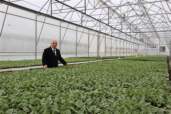 Ordu Büyükşehir Belediye Başkanı Dr. Mehmet Hilmi Güler’in tarıma verdiği