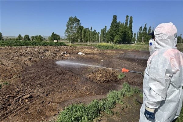 Park ve Bahçeler Müdürlüğü ile Temizlik İşleri Müdürlüğü ekipleri, uçkun