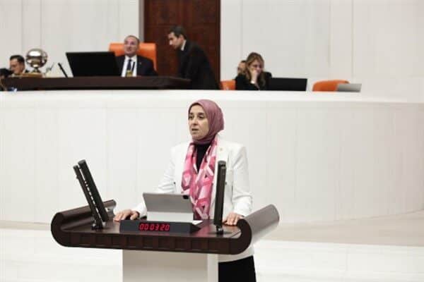 Elif Esen, Sırrı Süreyya Önder'in vefatını duyarak barış ve kardeşlik