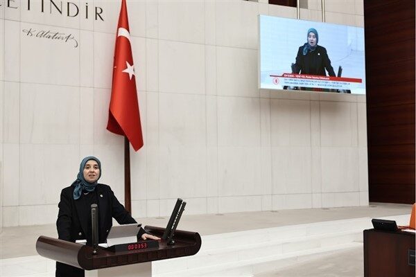 DEVA Partili Elif Esen, kamu hizmetine liyakat ve performansa dayalı