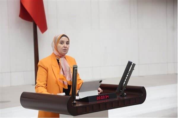 Teklifin en sorunlu yönlerinden birinin Diyanetin Sayıştay denetiminden çıkarılması olduğunu