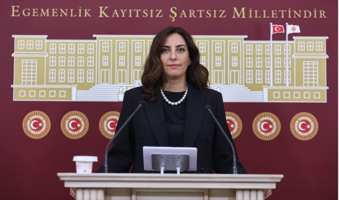 Orman Genel Müdürlüğünün 2025 yılı Performans Programı’na göre yangına hassas