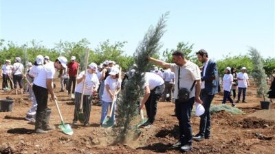 Engelli ve Yaşlı Hizmetleri Dairesi Başkanlığı, Engelliler Haftası kapsamında fidan