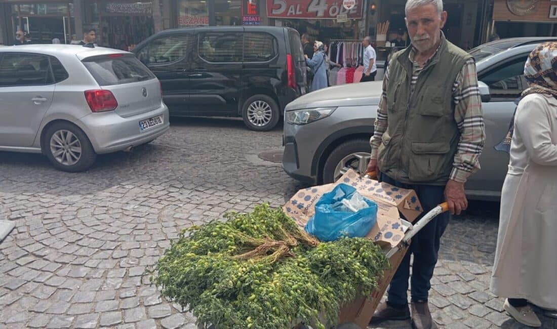 Diyarbakır’ın sokaklarında el arabasıyla dolaşan 72 yaşındaki Mehmet Turhan, yarım
