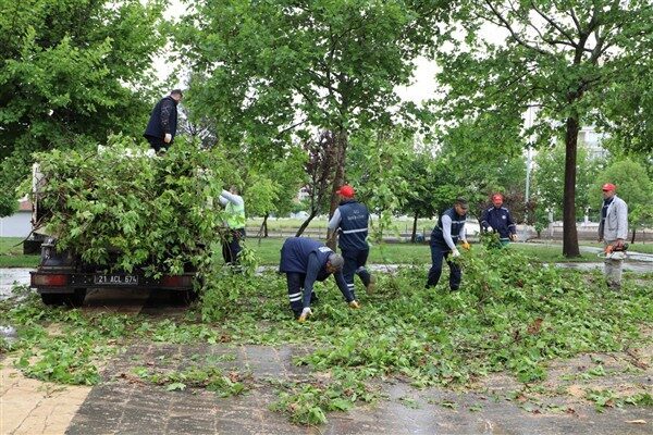 Diyarbakır'da yaşanan fırtına sonucu 370 ağaç zarar gördü. Park ve