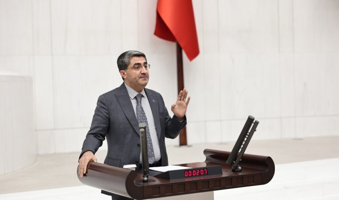 DEVA Partisi Genel Başkan Yardımcısı ve Mersin Milletvekili Mehmet Emin