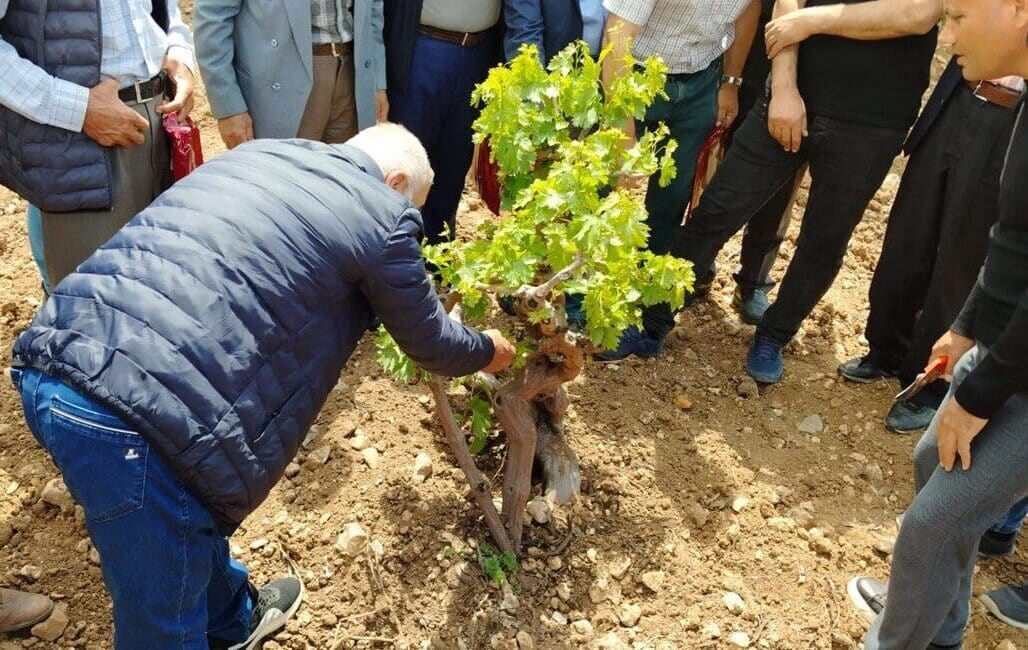 Batman Valisi Ekrem Canalp himayesinde, GAP Bölge Kalkınma İdaresi tarafından