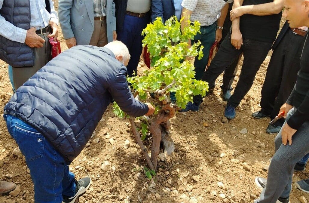Batman Valisi Ekrem Canalp himayesinde, GAP Bölge Kalkınma İdaresi tarafından