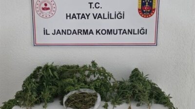 Hatay İl Jandarma Komutanlığı, nisan ayında 67 şüpheliyi hedef alan