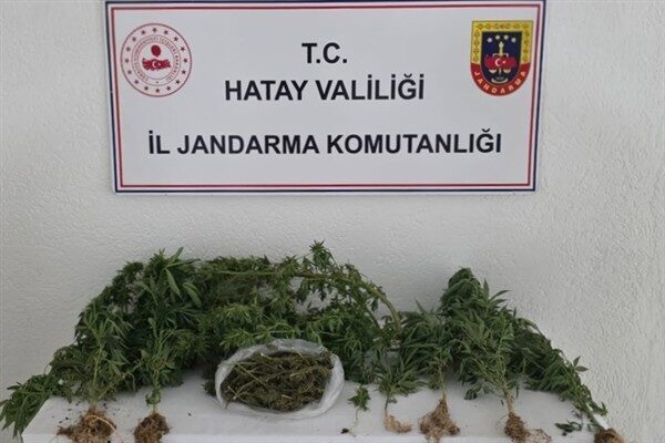 Hatay İl Jandarma Komutanlığı, nisan ayında 67 şüpheliyi hedef alan